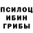 Галлюциногенные грибы Psilocybe Sveli