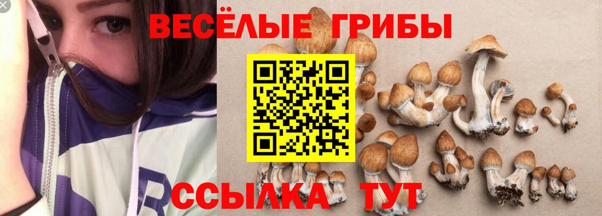Красный Сулин  Галлюциногенные грибы Psilocybe  Вход с VPN  купить  сайты  Галлюциногенные грибы мицелий 